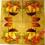 Serwetki do decoupage-2szt- NR 474 - GRZYBY