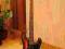 Fender Precision Bass Made in Japan MIJ 1988r