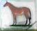 Hobby figurka koń pełnej krwi angielskiej konik