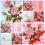Serwetki do decoupage-2szt-KWIATY- NR 354