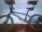 Rower BMX NORTHEC EVOLUTION