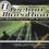 CD V/A - Techno Marathon - The Ultimate Megamix