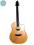 Gitara Akustyczna Breedlove Passport D250/SMe