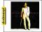 dvdmaxpl DWIGHT YOAKAM: THE VERY BEST OF DWIGHT YO