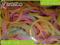 Gumki - LOOM BANDS - pastel mix- 200 szt