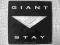 Giant - Stay Picture Disc