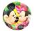 Talerzyki 10 MIKI MINNIE LOV Mickey myszka 1534g