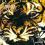 SURVIVOR - Eye Of The Tiger CD 1982 Volcano FOLIA!