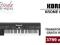 KORG KROME 61 WORKSTATION + TRANSPORT GRATIS