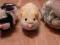 Chomiki Zhu Zhu Pets 3 szt. ! Jak nowe !