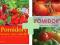 Pomidory Odmiany i uprawa pomidorów przyrządzanie