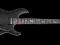 Schecter DAMIEN PLATINUM 6 FR S gitara elektryczna