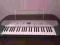 KEYBOARD CASIO CTK 230