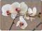 ŚREDNIE PODKŁADKI NA STÓŁ Orchidea