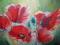 obraz maki  50x70