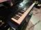 Keyboard Casio WK-6500 + POKROWIEC