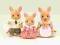 SYLVANIAN FAMILIES: RODZINKA KANGURÓW