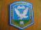 naszywka 95 Brygady Spadochronowej Ukraina jasna