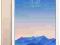 IPAD AIR 2 16GB WI-FI CELLULAR 12M GW BEZ LOCKA