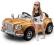 POJAZD ELEKTRYCZNY ROYCE LAKIEROWANY 2SILNIK 12V