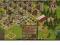 The Settlers Online CZARCI GAJ Konto 40-50 level