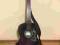 Gitara klasyczna MSONIC 3/4 nowa