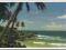 pocztówka KERALA wybrzeże palmy INDIA