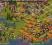 Settlers Konto Czarci Gaj Super Oferta 11k klejn.
