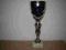 PUCHAR - SPORT  wys. 44cm