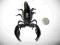 skorpion Heterometrus petersi DOROSŁA ZAPŁODNIONA