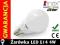 Żarówka LED line E14 4W 230V kulka GLOBE b. ciepła