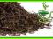 Herbara Czarna CEJLON OP1 DIMBULA HIGHGROWN (50g)