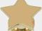 Plug - GOLD STAR 6 mm (na zamówienie)