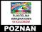 SUPER PLASTELINA 10 KOLORÓW BAMBINO KWADRATOWA