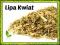 Lipa kwiat lipy krojony suszony herbata ziele 50g