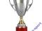 Puchar Tryumf 3030-N/A wys. 45cm GRAWERKA GRATIS!
