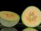 Melon EMIR Egzotyczne Owoce w Twoim Ogrodzie