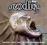 dvdmaxpl THE PRODIGY: MUSIC FOR THE JILTED GENERAT