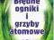 Błędne ogniki i grzyby atomowe Charpak Garwin atom