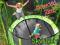 TRAMPOLINA SKYFLYER RING 2in1 244CM 8ft + Gratisy