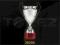 PUCHAR PUCHARY 49 cm TROFEA GRAWER GRATIS 2020D