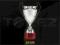 PUCHAR PUCHARY 45 cm TROFEA GRAWER GRATIS 2020E