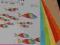 Papier kolorowy Rainbow 80g mix intensywny 5x20A4