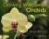 GROWING WINDOWSILL ORCHIDS Philip Seaton