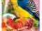 Vitapol Smakers dla papugi falistej - owocowy Week