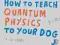 HOW TO TEACH QUANTUM PHYSICS TO YOUR DOG Orzel