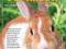 TRAINING YOUR PET RABBIT Patricia Bartlett