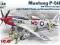 ICM 48153 Mustang P-51D with USAAF Pilots and Grou