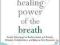 THE HEALING POWER OF THE BREATH Brown, Gerbarg