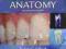 WOELFEL'S DENTAL ANATOMY Scheid, Weiss